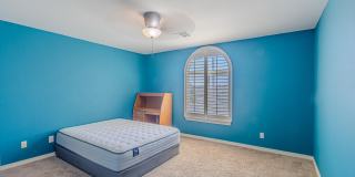 3240 PERUVIAN PASO Drive Gallery 28