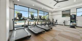 Elux at McQueen Gallery 5