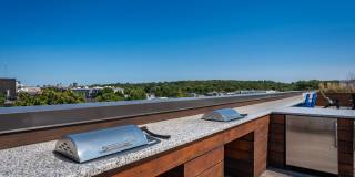 MetroMark Gallery 11