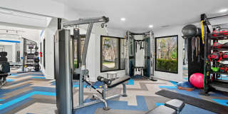 Cameron South Park Gallery 17