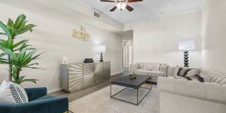 Avenue at Timberlin Park Gallery 4