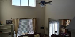 4803 San Amels Way Gallery 12