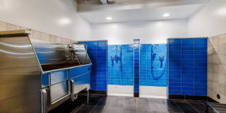 The District Gallery 19