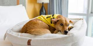 Sentral Michigan Avenue Gallery 31