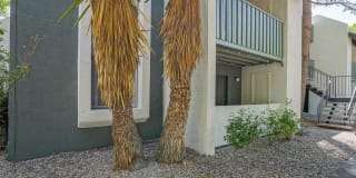 Treehouse Apartments Gallery 48