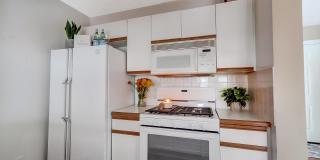 5713 Mango Ln Gallery 16