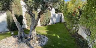 79188 Bog Walk Court Gallery 23