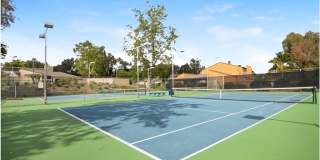 24802 Leto Circle Gallery 25