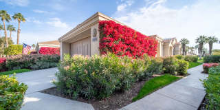 54780 Shoal Creek Gallery 45