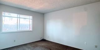 Charming 2-Bedroom Duplex with Large Fenced Yard & Attached Garage Charming 2-Bedroom Duplex with Large Fenced Yard & Attached Garage Gallery 10