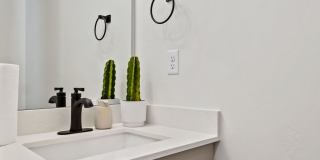 VALO at Desert Haven Gallery 24