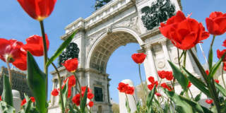 835 Carroll Street Gallery 12