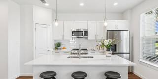 Canvas at Anna Gallery 8