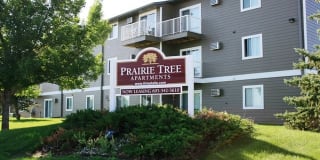 Prairie Tree Gallery 5