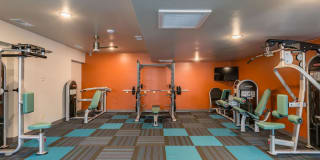 The Fields Gallery 21