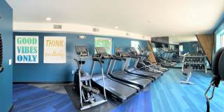 7 Dorchester Drive Gallery 1