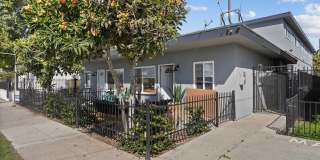 Grant Street Gallery 11