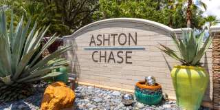 Ashton Chase Gallery 38
