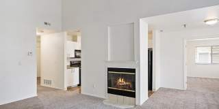 Orchard Place Gallery 15