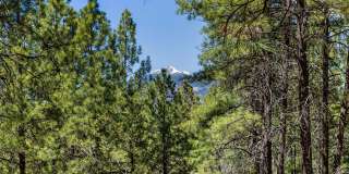 108B E Paseo del Rio -- Gallery 5