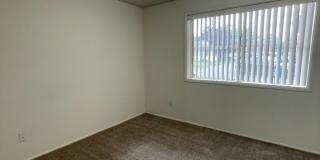 451w13 Gallery 29