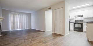 Chimneys of Greenville Chimneys of Greenville Gallery 4