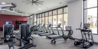 Centro at Pine Nash Gallery 19