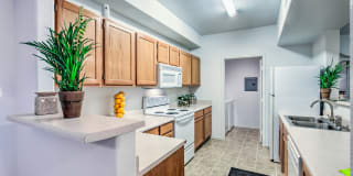Estancia Apartments Gallery 16