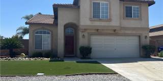 15177 Dandelion Gallery 2