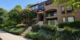 11252 Chestnut Grove Sq Apt 348 Gallery 1