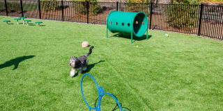 Avalon Townhome Collection Roseland Gallery 19