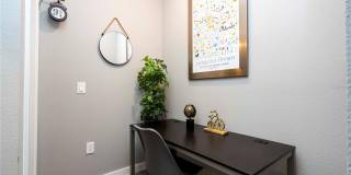 3369 TRANQUIL TRAIL Gallery 14