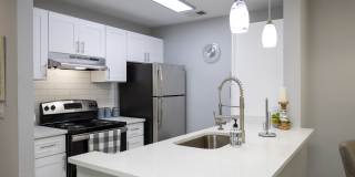 Wood Terrace Gallery 7