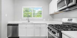 Renovated 6bed/3bath Close to Campus! Gallery 14