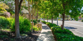 Bridgepointe Apartment Homes Gallery 26