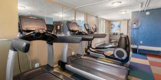 Lake Pointe Gallery 21