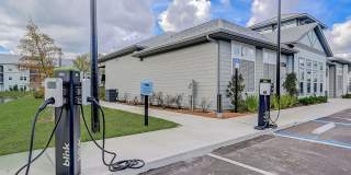 Collins Preserve Gallery 36