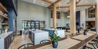 Arcadia 331 Gallery 46