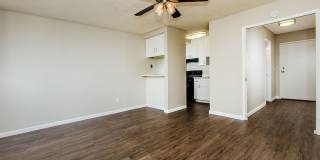 Surfcaster Gallery 13