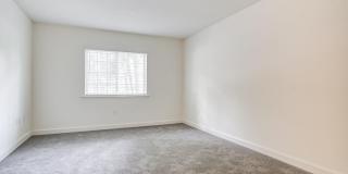 The Lily The Lily Gallery 13