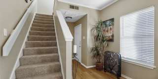 Waterchase Gardens Gallery 38