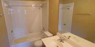 Spacious Home in Cibolo with 3 Car Garage! Realor Commission: $750 Gallery 33