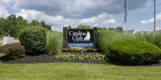 Catalina Club Gallery 40