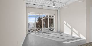 The Loop at Midtown Gallery 50