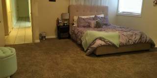 2537 Harrison Boulevard Gallery 4