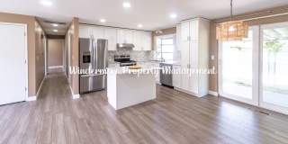 Bright and Charming 3 bed Rambler in Convenient Port Orchard Location Gallery 8