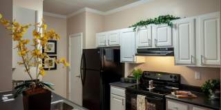 Carrington Park Gallery 6