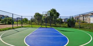 The Retreat at Park Meadows Gallery 37