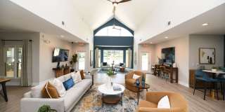 Vetra Asheville Gallery 1