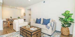 Eight 99 at Hazelwood Gallery 18